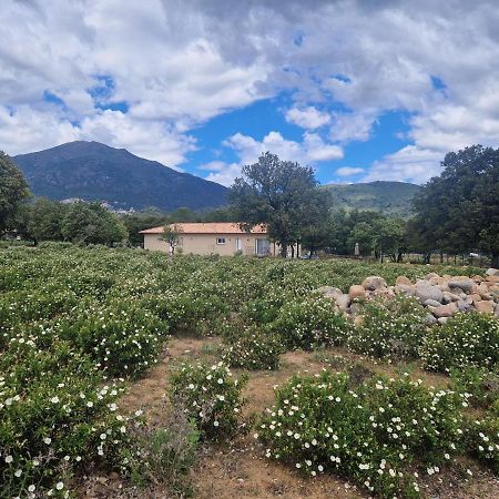 Villa Domaine U Filanciu - Casa Ghjulia - Centru Di Corsica Moltifao Esterno foto