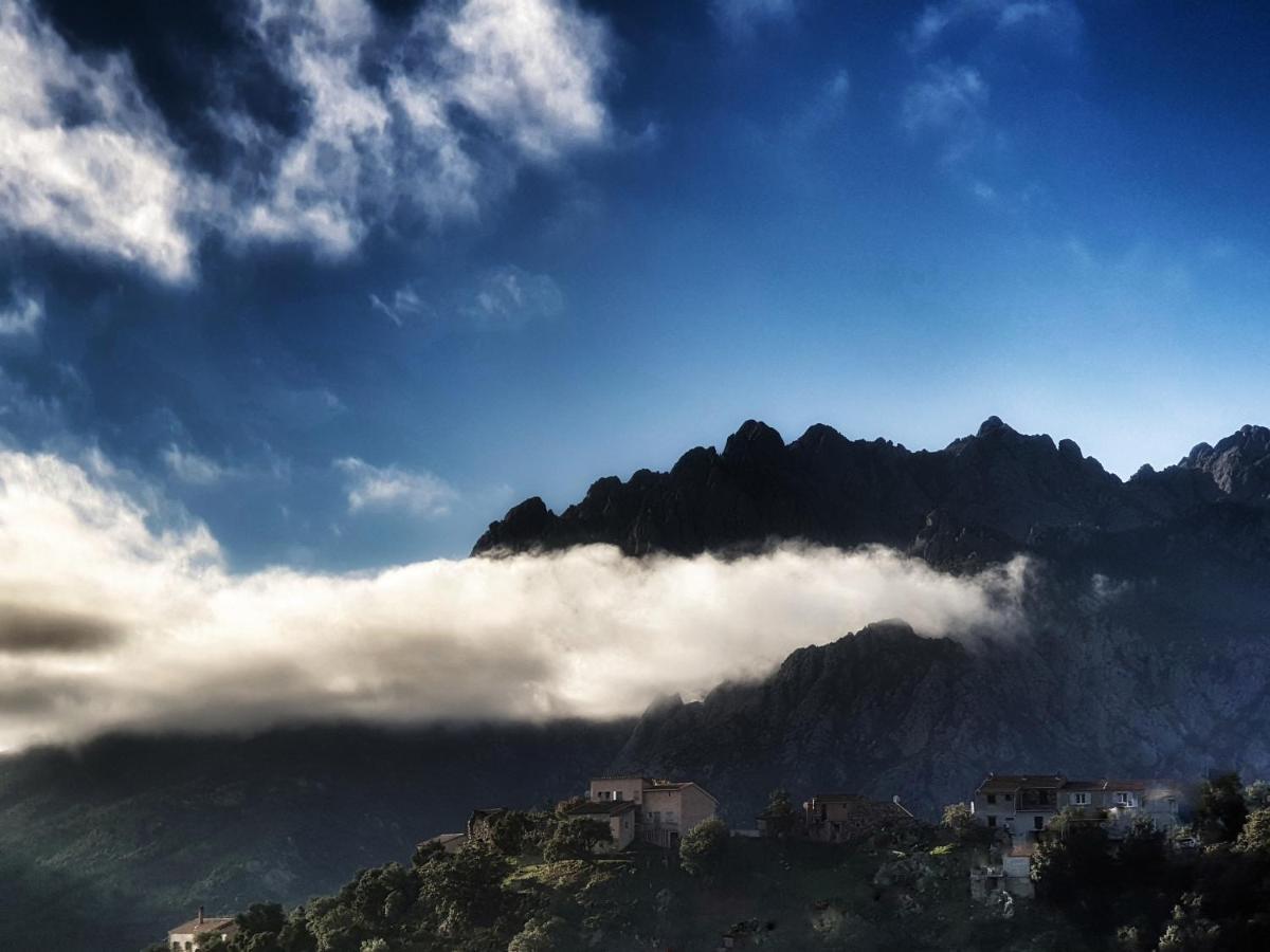Villa Domaine U Filanciu - Casa Ghjulia - Centru Di Corsica Moltifao Esterno foto