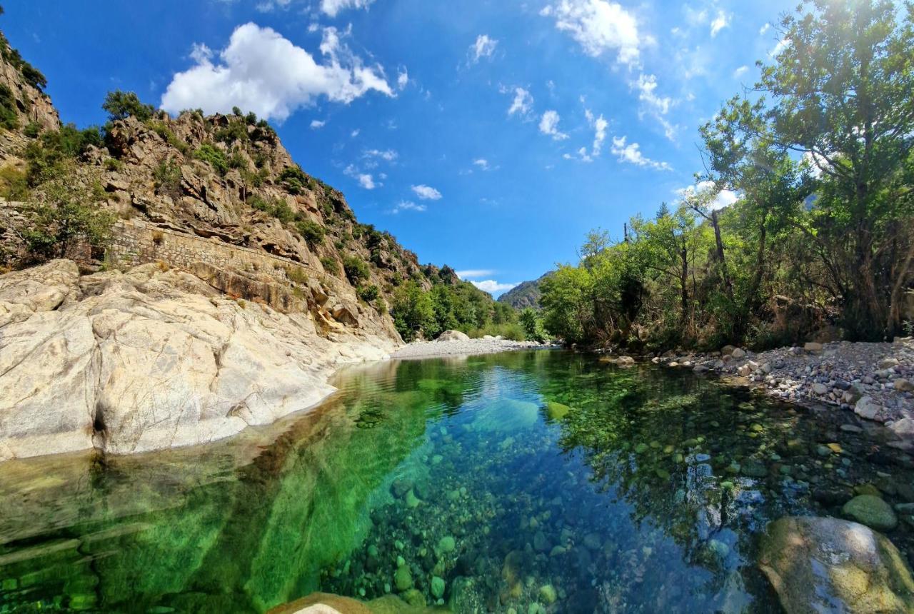 Villa Domaine U Filanciu - Casa Ghjulia - Centru Di Corsica Moltifao Esterno foto